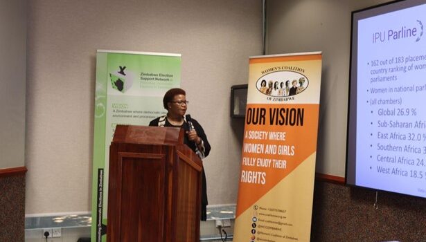 Electoral Reform Through the Gender Lens Activity Highlights